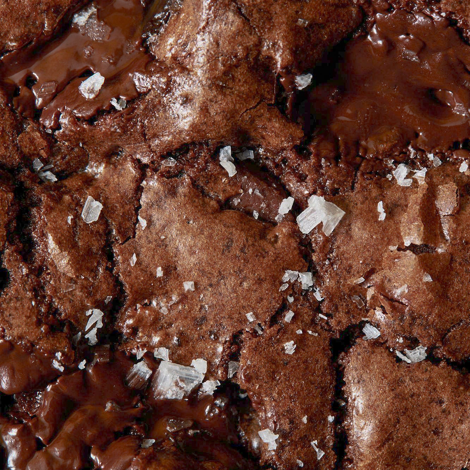 Salted Fudge (Wholesale)